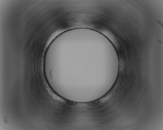 X0000093391094200710111343