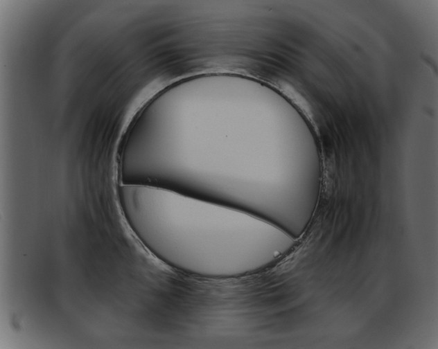 X0000093391096200710111343