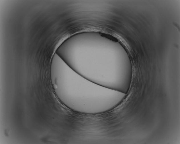 X0000093391097200710111343