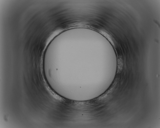 X0000093391098200710111343