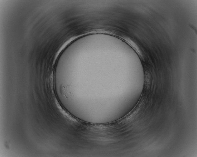 X0000093391100200710111343