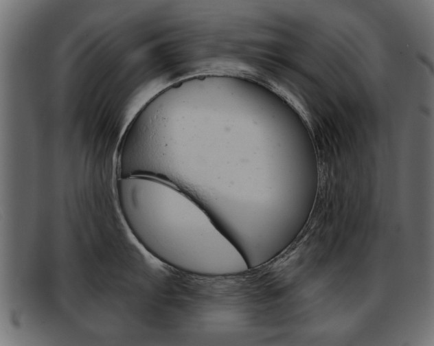 X0000093391103200710111343