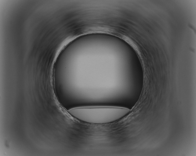 X0000093391104200710111343