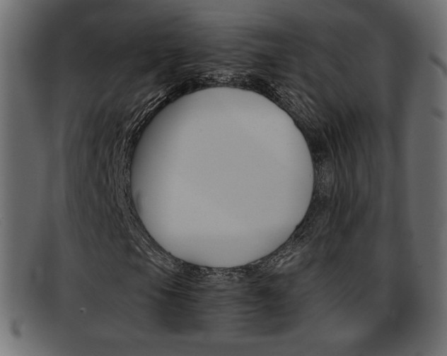 X0000093391105200710111342