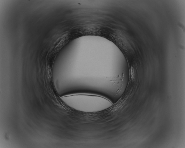 X0000093391107200710111342