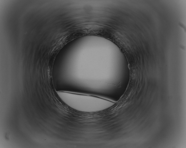 X0000093391108200710111342