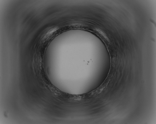 X0000093391111200710111343