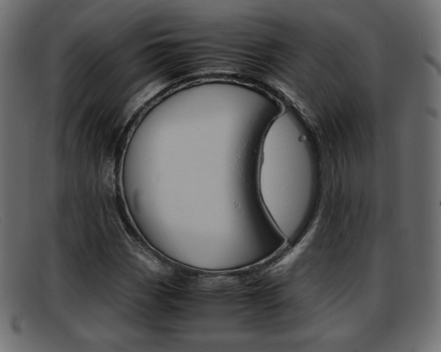 X0000093391113200710111343