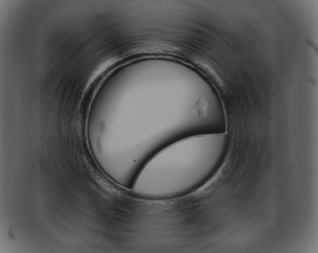 X0000093391114200710111343