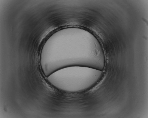 X0000093391117200710111343