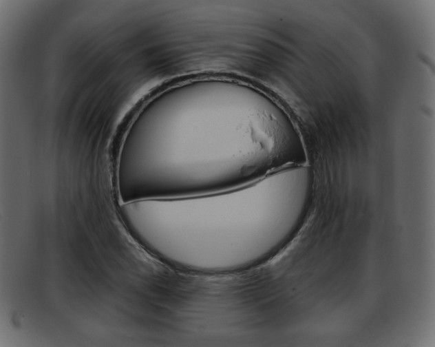 X0000093391118200710111343