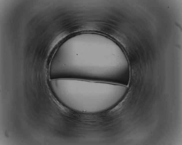X0000093391119200710111343