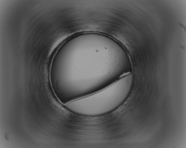 X0000093391120200710111343