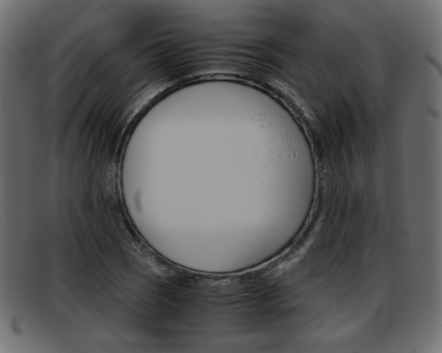 X0000093391121200710111343