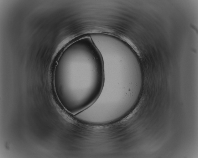X0000093391122200710111343