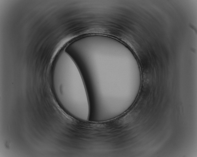X0000093391123200710111343