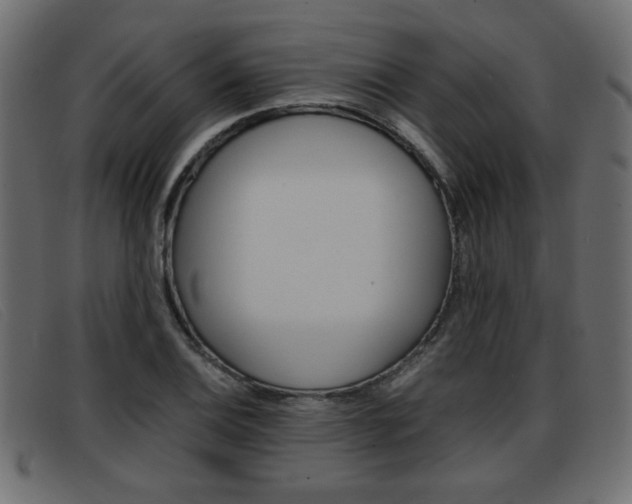 X0000093391124200710111343