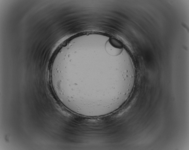 X0000093391125200710111343
