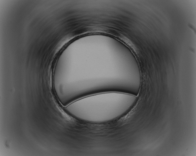 X0000093391127200710111343