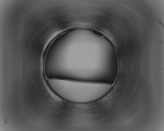 X0000093391128200710111343