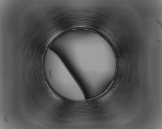 X0000093391129200710111343
