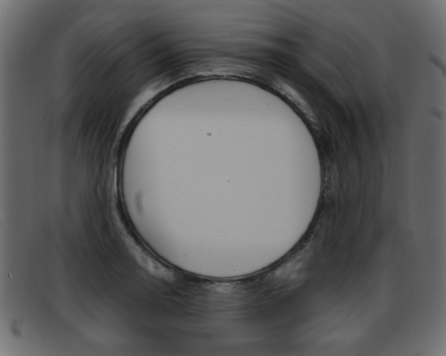 X0000093391130200710111343