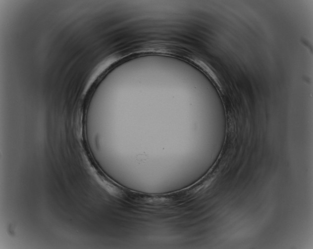 X0000093391131200710111343