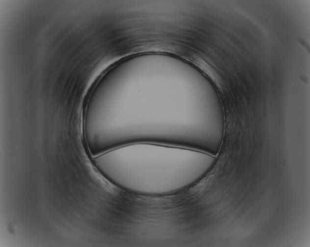 X0000093391132200710111343