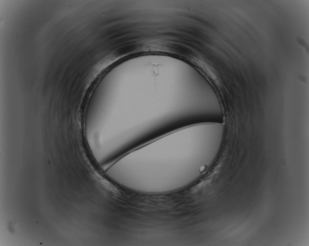 X0000093391133200710111343
