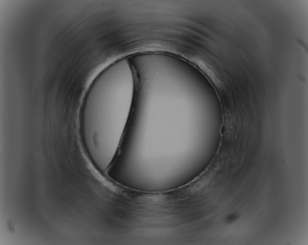 X0000093391134200710111343