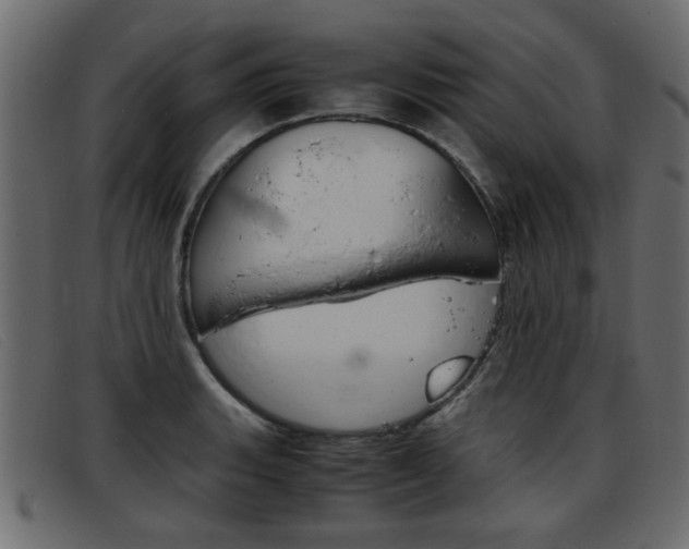 X0000093391135200710111343