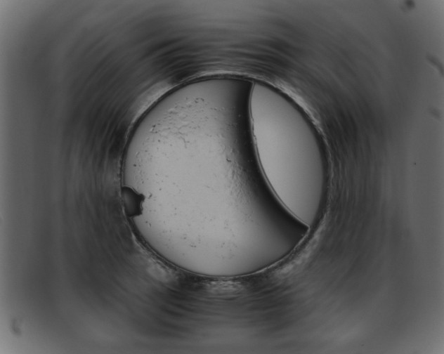 X0000093391137200710111343