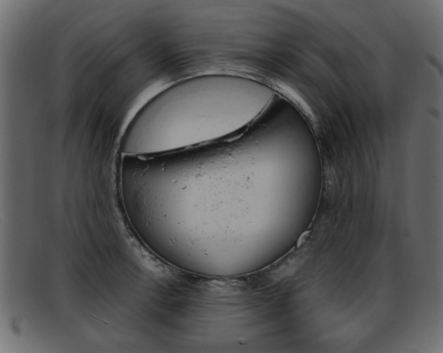 X0000093391138200710111343