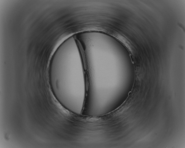 X0000093391140200710111343