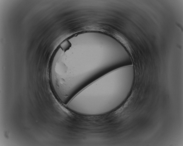 X0000093391141200710111343