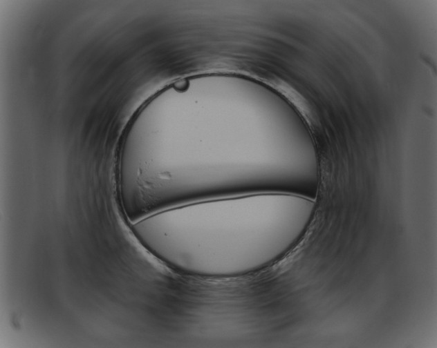X0000093391142200710111343