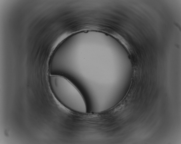 X0000093391143200710111343