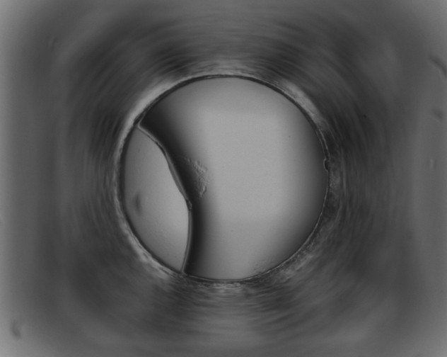X0000093391144200710111343