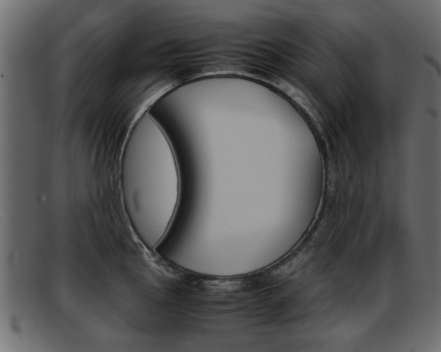 X0000093391145200710111343