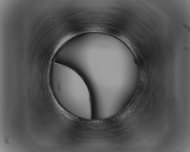 X0000093391147200710111343