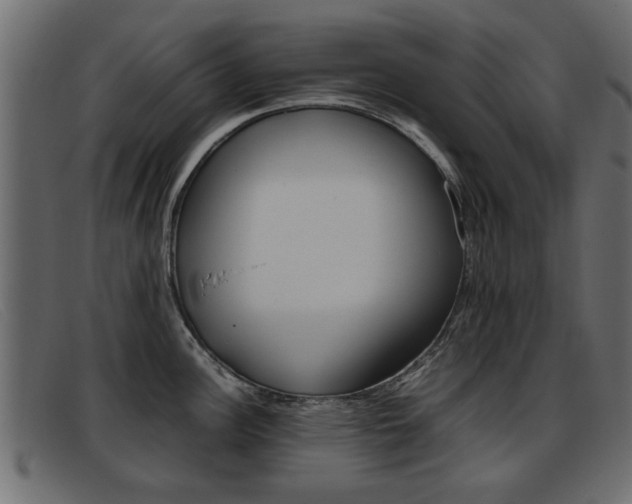 X0000093391148200710111343