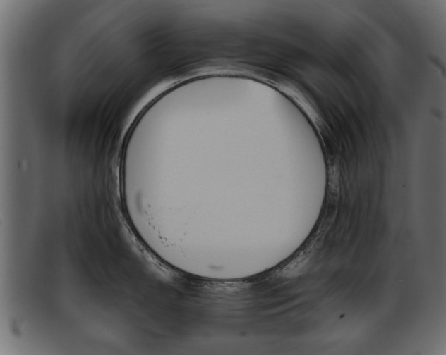 X0000093391150200710111343