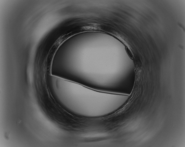 X0000093391151200710111343