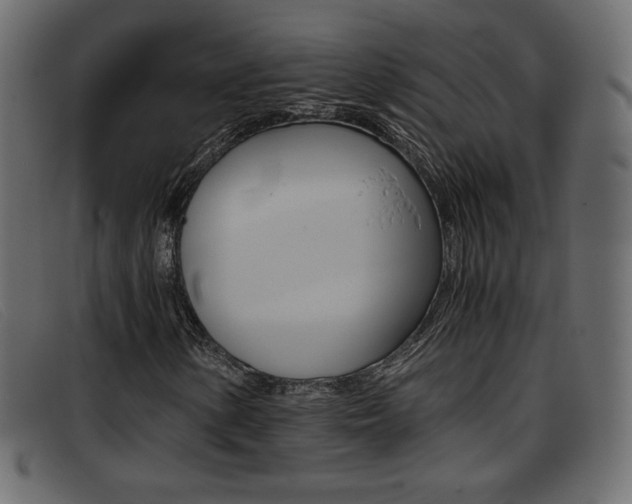 X0000093391154200710111342