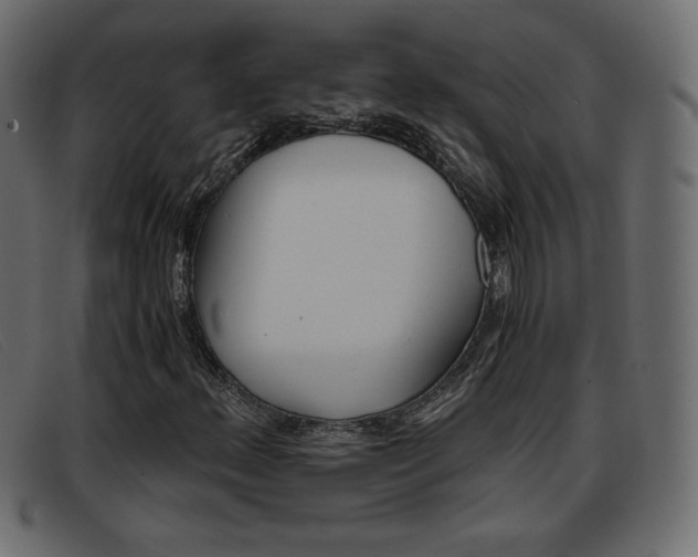 X0000093391156200710111342