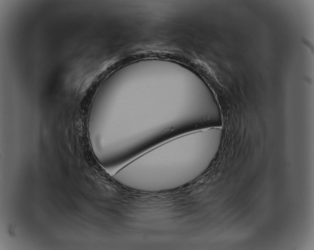 X0000093391159200710111342