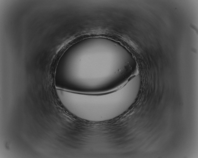 X0000093391160200710111342