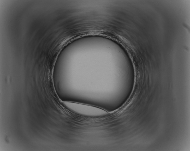 X0000093391161200710111342