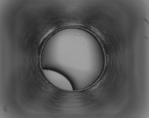 X0000093391165200710111342