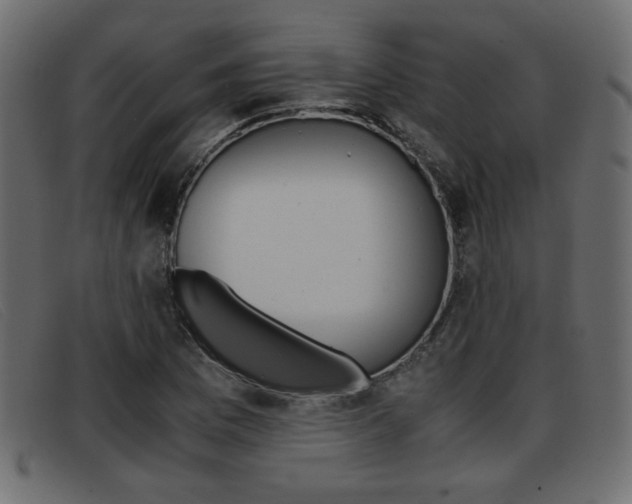 X0000093391169200710111342